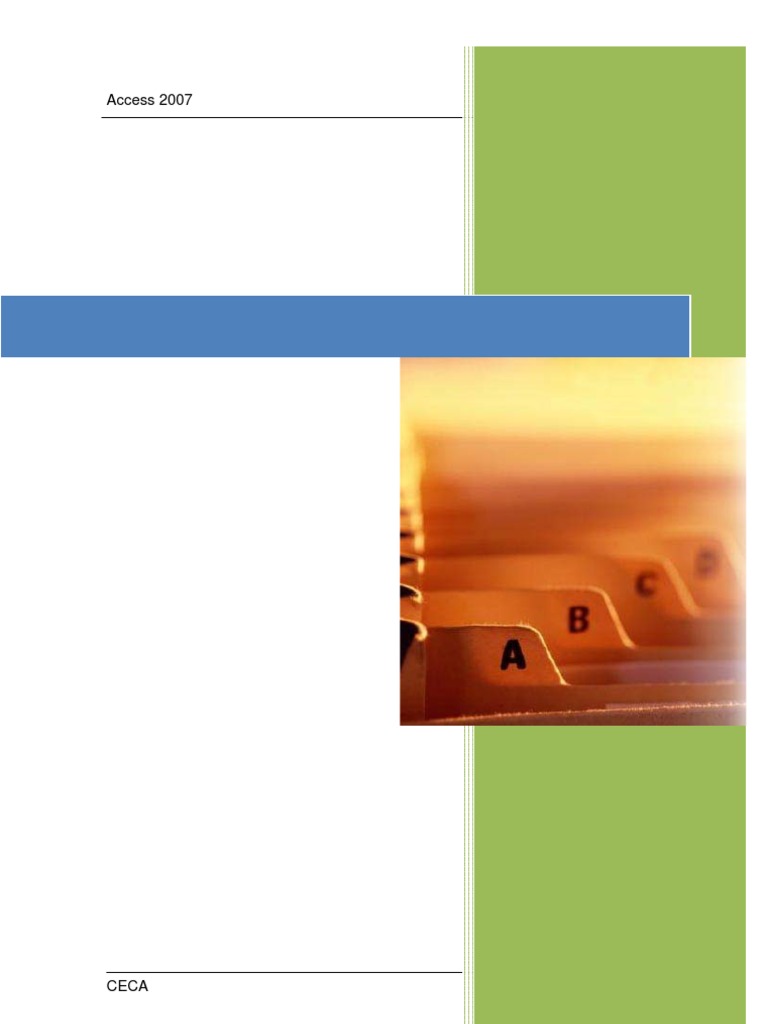 Access 2007 PDF