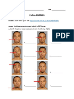 Facial Muscles Output