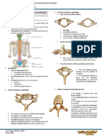 Vertebral Column and Contents of The Vertebral Canal