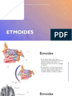 Hueso Etmoides