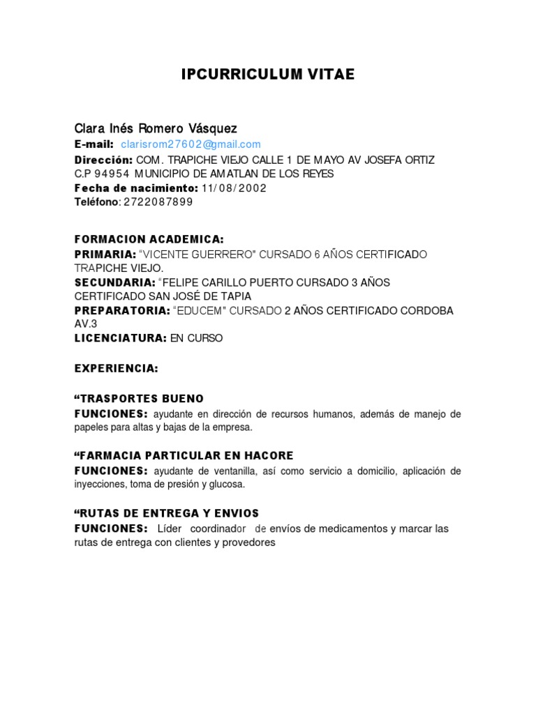 Currículum Vitae Clarita PDF Business