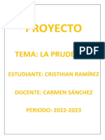 Proyecto Ramirez.