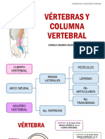 1 Vértebras y Columna Vertebral
