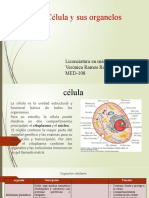 La Célula y sus organelos vitales