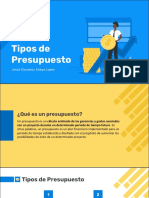 Tipos de Presupuesto