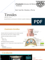 Tiroides y Paratiroides