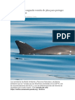 Entrega México Segunda Versión de Plan para Proteger A Vaquita Marina