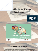 Tema 10 - Ensayo Académico