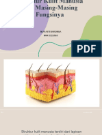 Struktur Kulit Manusia Dan Masing-Masing Fungsinya