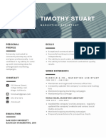 Modern Profesional Resume