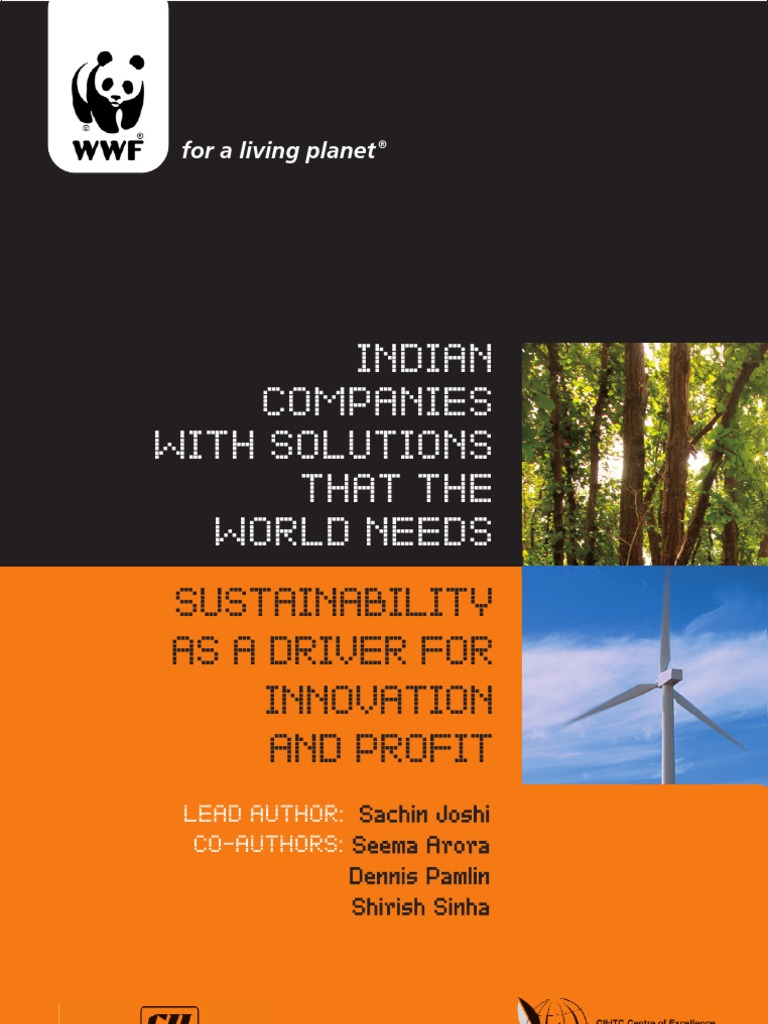 CII Report Indian Companies | PDF