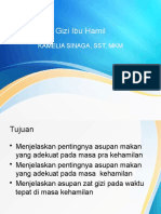 1.5. Nutrisi Pada Ibu Hamil