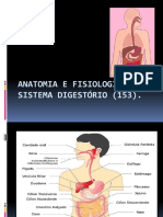 Anatomia Do Sistema Digestório