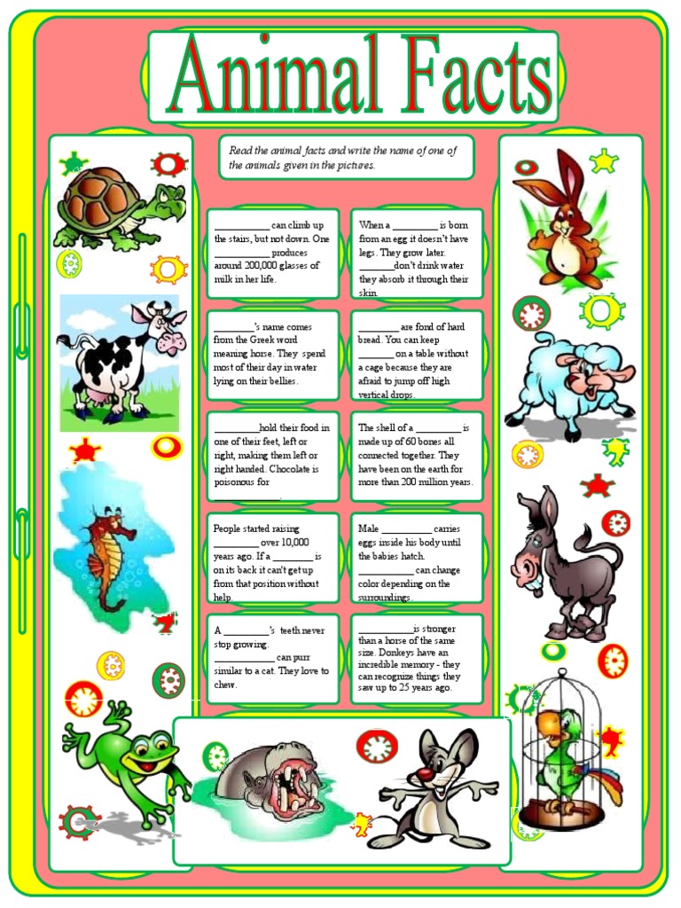 Animal visual data 5