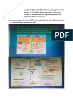 Diskusi Kasus Probiotik Bifida Ferment Lysate