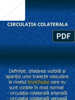 circulatia-colaterala
