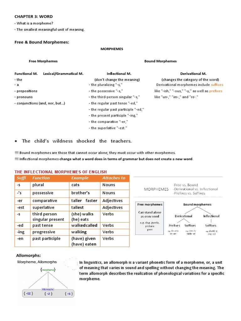 The Structure of English II Notes | PDF | Verb | Word