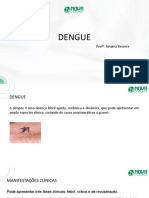 Dengue - Janaína Bezerra