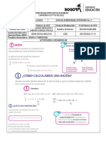 Guía 2. Alameda C5 y C6