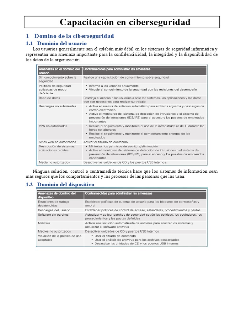 Capacitación en Ciberseguridad Esencial | PDF | Seguridad | La ...