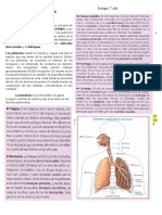 Actividad 5 - (1) Sistema Respiratorio 2020-1