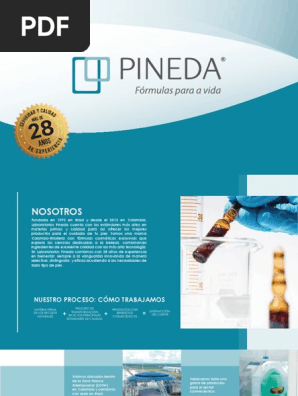 Productos Cosmticos Laboratorio Pineda | PDF | Antioxidante | Productos  cosmticos