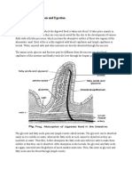 Absorption Assimilation and Egestion