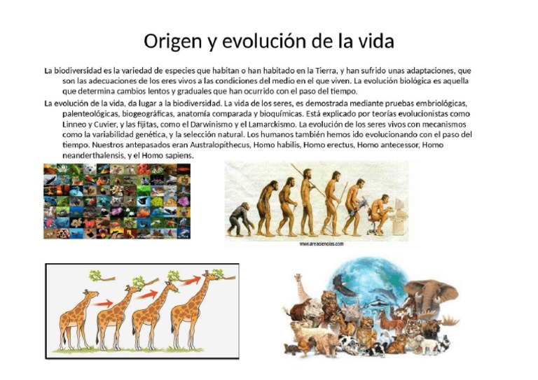 Imagen Origen y Evolucion de La Vida | PDF
