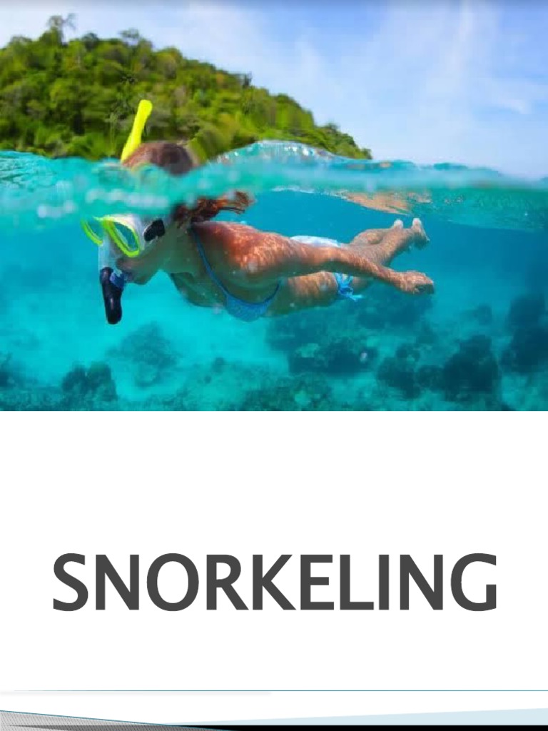 An InDepth Look at the Fundamentals of Snorkeling Equipment