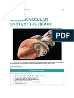 Chapter 19 - The Cardiovascular System- The Heart