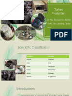 Turkey Production Guide