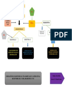 Mapa Conceptual Angiotensina II