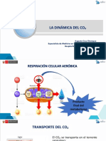 Tema 5_la Dinámica Del Co2