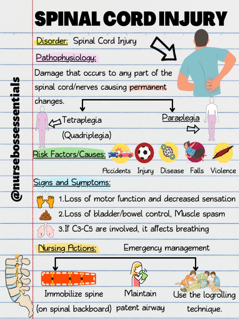 Spinal Cord Injury: Symptoms & Care | PDF | Science & Mathematics