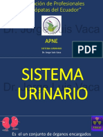 Apne S. Urinario