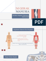 Sistem Gerak pada Manusia