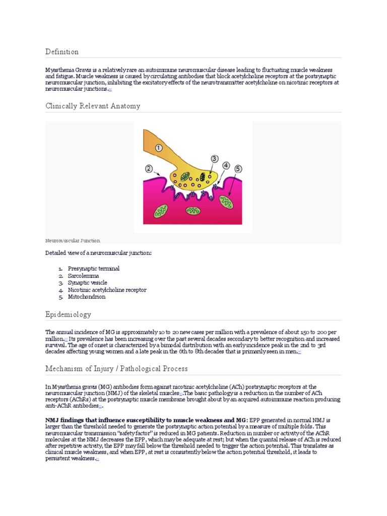 Comprehensive Overview of Myasthenia Gravis Definition
