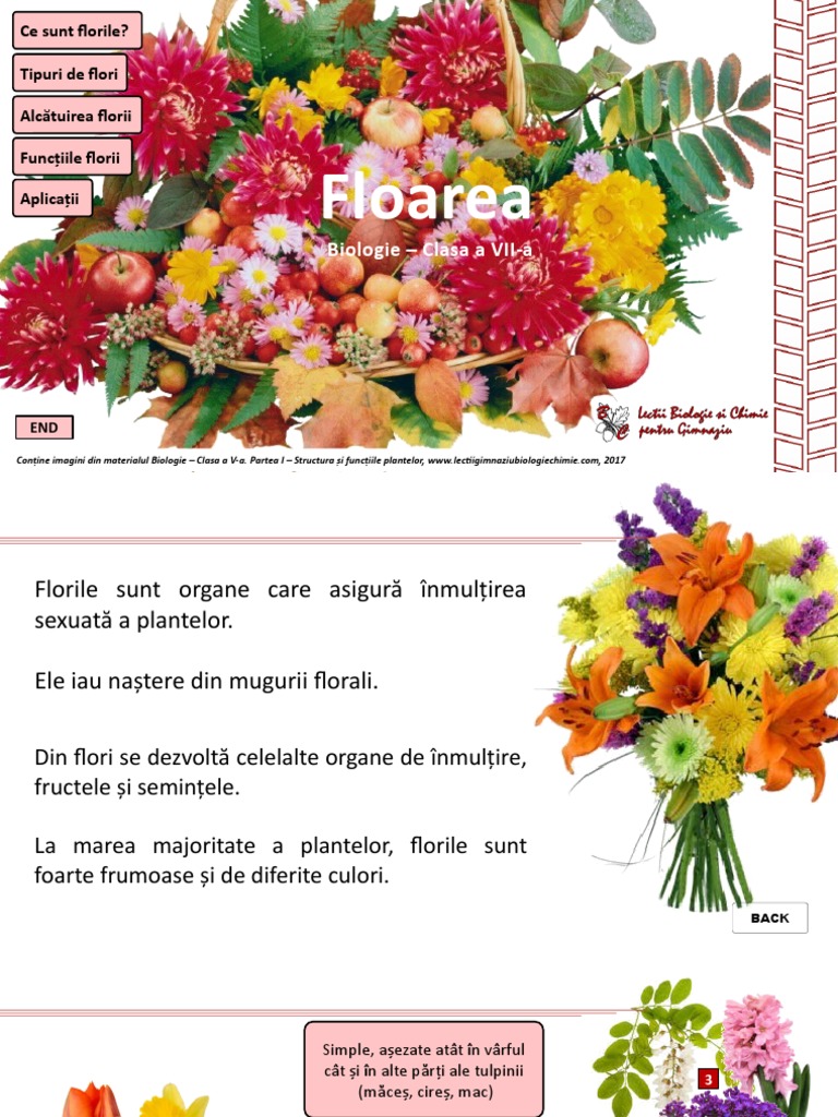761 - Floarea | PDF