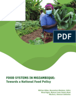 Food Systems in Mozambique - OMR 2021