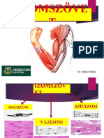 Izomszövet 2023 Hun