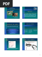 Manejo de distocia en bovinos | PDF | Parto | Vacas