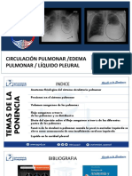 Circulación Pulmonar Edema & Liquido Pelural Loor-Marmolejo-Ramirez