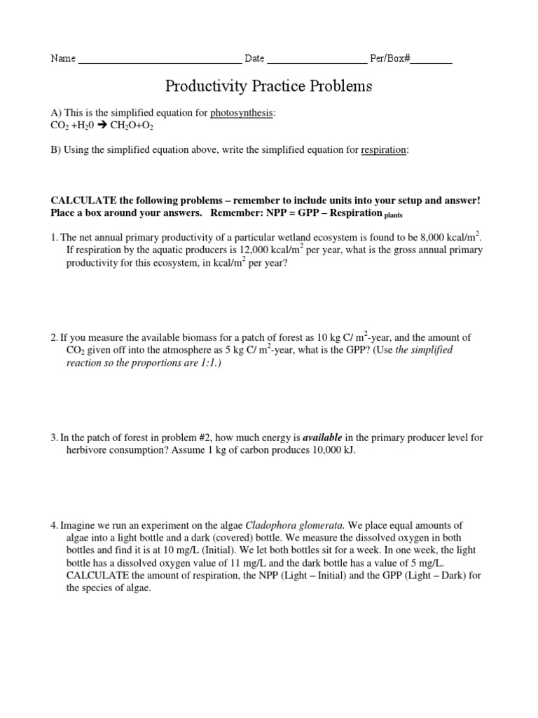 Productivity Practice Problems Worksheet | PDF | Primary Production ...
