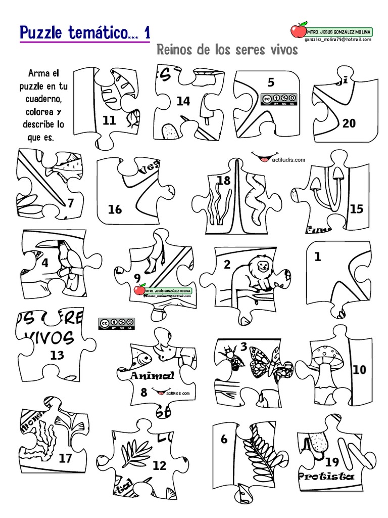 Puzzle Tematico 1 Reino de Lo Seres Vivos | PDF | Eucariotas | Organismos