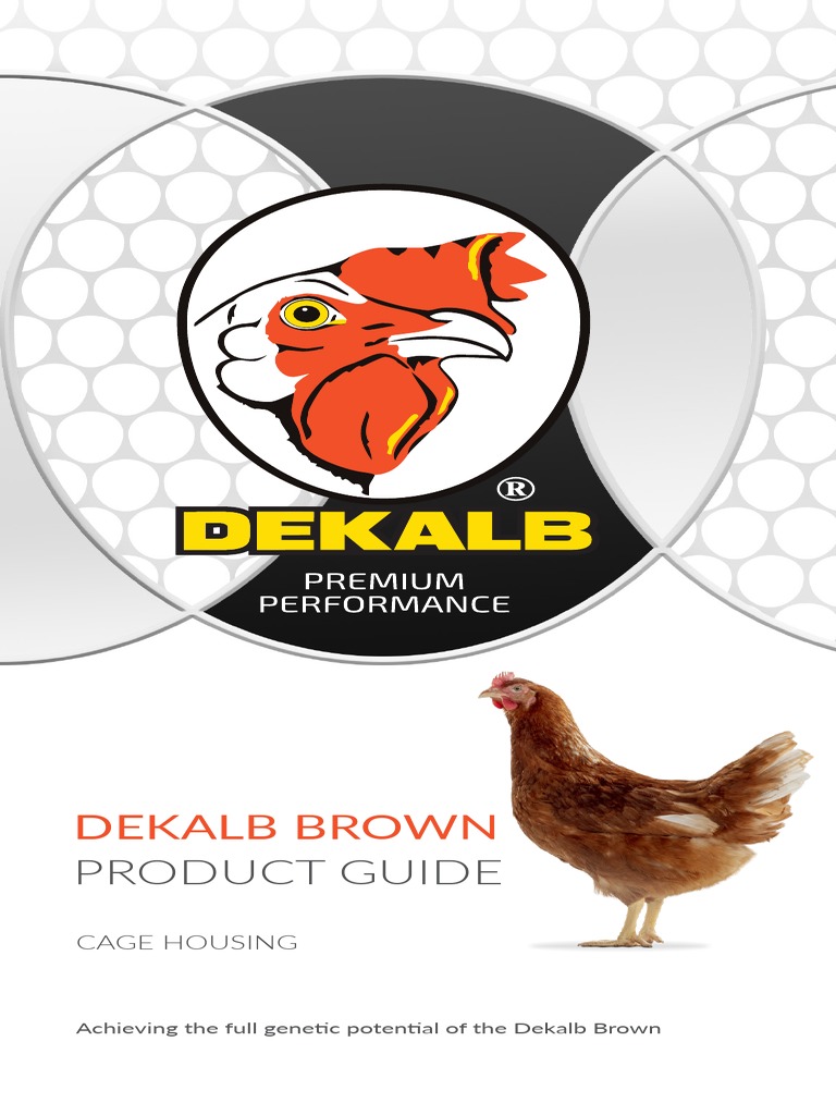 Dekalb Brown Chicken Production Guide | PDF | Poultry Farming