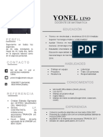 CV Yonel