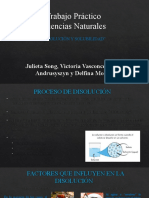 Trabajo Practico Ciencias Naturales Disolución y Solubilidad AYLU DELFI JULY Y VICKY