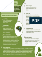 Infografía Derecho Ambiental - Javier Alfredo Fuentes Aguilar