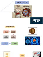 Hepatitis A en