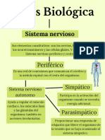 Bases Biológica